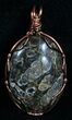 Copper Wire Wrapped Turritella Pendant #5954-1